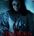 Still – Born (2017)