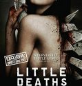 LITTLE DEATHS (2011)